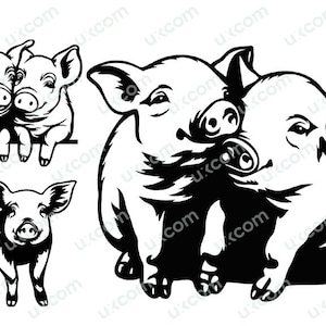 Süßes Schweine-Set, kommerziell spähende Ferkel, Bauernhof, Blumen, Schwein, florales Logo, Liebestiere, Vegab SVG, PNG, EPS, Clipart, Vektor, Cricut, Schnittdatei