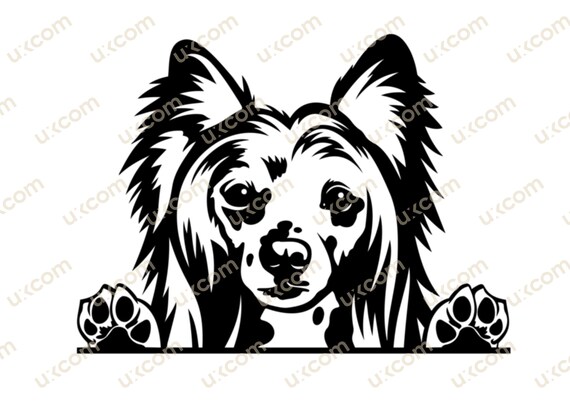 Papillon & Paws Umbrella - Black & White Papillon Papillon & Paws Umbrella - Black & White Papillon