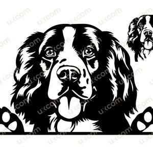 Französischer Spaniel SVG Französischer Spaniel spähender Hund Kommerzielle Rasse Svg PNG EPS Dxf süßer Spaniel Clipart Vektor Cricut Cut Cutting Datei herunterladen