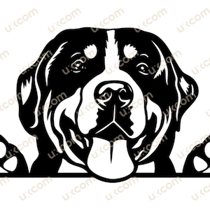 Großer Schweizer Hund Spähender Sennenhund SVG Kommerzielle Rasse Stammbaum Hundehund Tier Logo Dxf PNG EPS Clipart Cricut Cut Schneidedatei