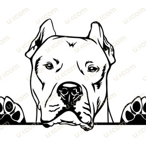 Dogo Argentino Razza Pedigree Canine Pet Hound Animale commerciale Logo SVG PNG EPS dxf Clipart Vector Cricut Cut Cutting File