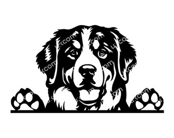 バーニーズ マウンテン ドッグ 覗く svg 品種商業血統犬ペット猟犬動物ロゴ Dxf Png EPS クリップアート Cricut カット切断ファイル