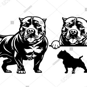 American Bully Peeking Dog 3 Pacchetto commerciale bullo Pedigree felice bullo SVG Logo PNG EPS Clipart Vector Bullo cane Cricut Cut File vinile