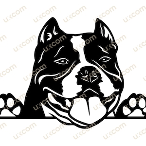 American Bully Peeking Dog Commercial Razza Pedigree felice bullo SVG Logo PNG EPS Clipart Vector Bullo cane Cricut Cut Taglio File vinile