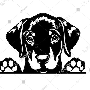 Doberman Pinscher svg doberman cachorro archivo cortado con láser Comercial Canino CNC Logo Svg Png EPS doberman peeking Clipart Vector Cricut Cut vinilo