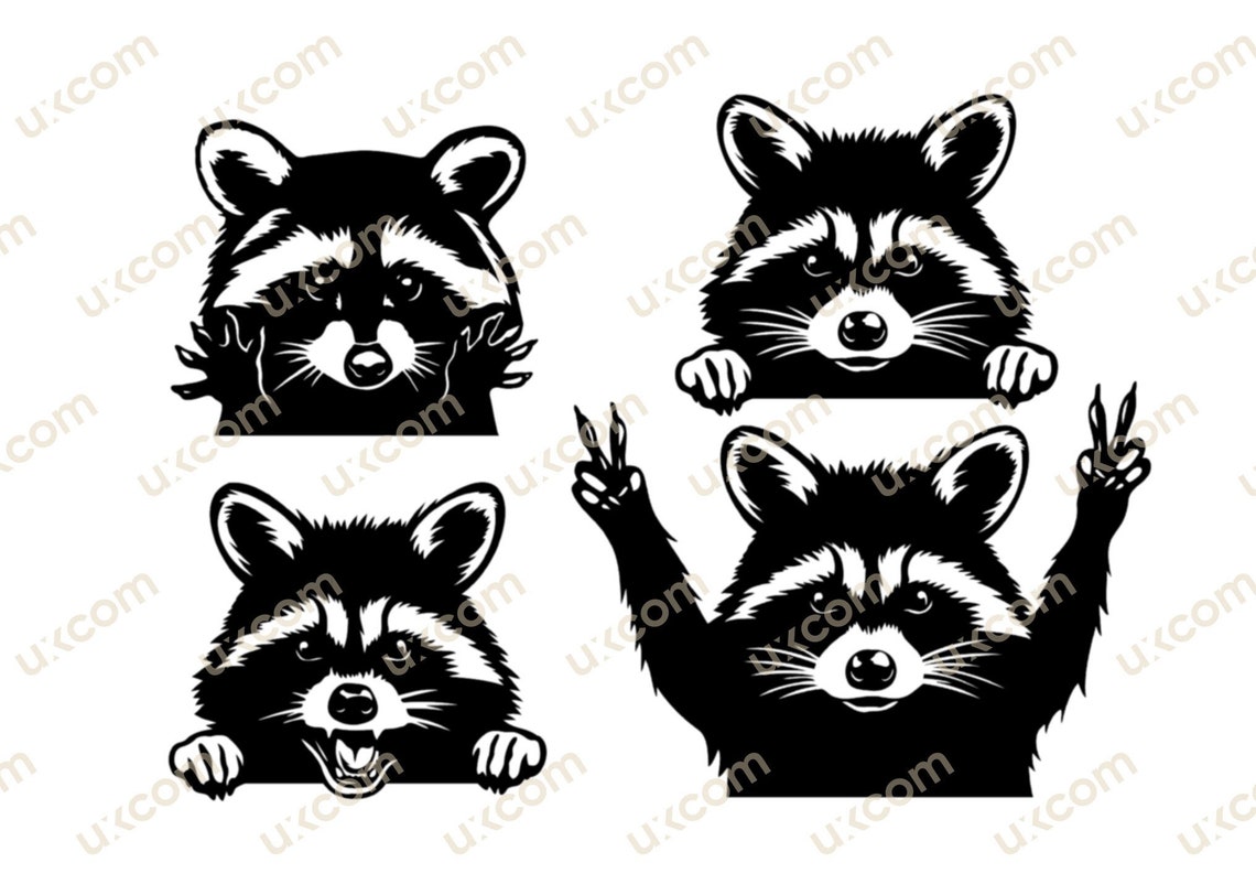 Rascal Svg Raccoon Svg Set Bundle Funny Raccoon Set Commercial Cute Racoon Cricut ...