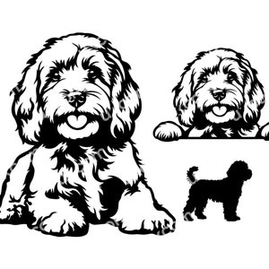 Cockapoo svg set gluren cavapoo schattige cockapoo hond Commerciële honden CNC SVG EPS Png Dxf bulldog Clipart Vector Cricut Cut File vinyl laser