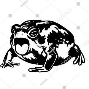 May include: Black and white illustration of a frog with its mouth open, showing its tongue. The frog has a textured skin and is in a sitting position.
