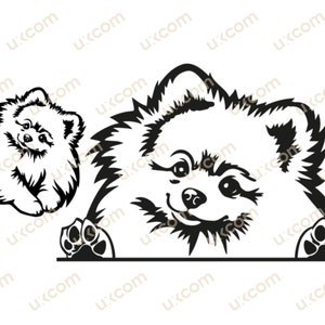 Pommeren SVG Pommeren gluren Hond poten schattige pom pom moeder Commerciële rassen Logo vinyl stickers. SVG. PNG Clipart Vector Cricut Cut Cutting