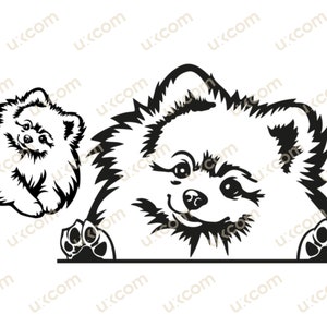 Pomeranian svg pomeranian peeking Dog paws cute pom pom mom Commercial breeds Logo vinyl decals .SVG .PNG Clipart Vector Cricut Cut Cutting