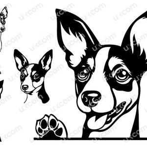 Rat terrier SVG set Gluren poten hond commerciële bundel Rat Terriër moeder ras gesneden bestand Logo SVG PNG EPS dxf Clipart Vector Cricut Laser vinyl