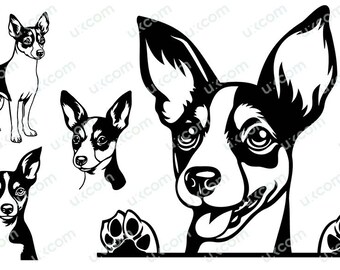 Rat terrier svg set Peeking paws dog commercial bundle rat terrier mom Breed cut file Logo SVG PNG EPS dxf Clipart Vector Cricut Laser vinyl