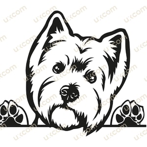 Westie SVG West Highland White Terriër Gluren Hond Commerciële Gluren Poten Ras PNG EPS DXF Clipart Vector Cricut Cut Cutting File