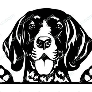 German Shorthaired Pointer SVG Peeking Pointer Dog Commercial Canine Svg Dxf PNG EPS Pointer Clipart Vector Cricut Cut File vinyl laser cut