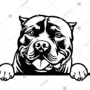 American Bully Peeking Dog Commercial Breed Pedigree happy bully SVG Logo PNG EPS Clipart Vector Bully dog Cricut Cut Cutting File vinyl
