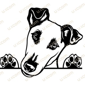 Puede incluir: Ilustración en blanco y negro de un perro Jack Russell Terrier asomándose por encima de una superficie con sus patas visibles. El perro tiene una expresión seria y sus orejas están levantadas.