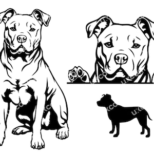 Puede incluir: Ilustración en blanco y negro de un perro pitbull sentado y mirando hacia adelante. El perro se muestra en tres poses diferentes: sentado, mirando por encima de una superficie y como silueta.