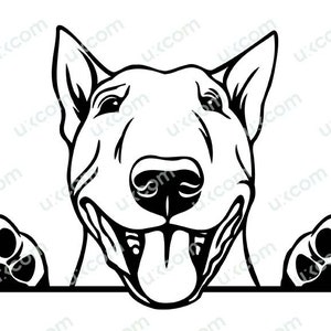 Bull Terriër gluren hondenras stamboom Canine huisdier Hound dier logo commerciële SVG PNG EPS-clipart vector Cricut knippen snijden-bestand