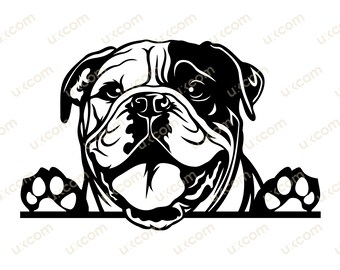 English Bulldog Peeking Dog Commercial bulldog mom happy bulldog cute dog bulldog SVG PNG EPS Clipart Vector bulldog Cricut Cut Cutting File