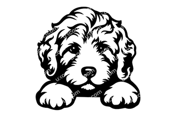 Cavapoo Umbrella - Black & White Cavapoo Umbrella - Black & White