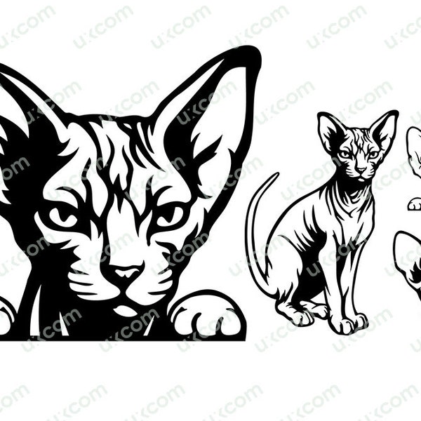 Sphynx chat svg bundle Peeking pattes Commercial égyptien mignon chat sans poils maman sphynx chat Logo. SVG. PNG vecteur Clipart Cricut coupe coupe