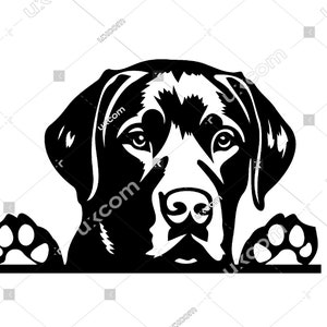 Labrador retriever Gluren Hond poten Zwarte Labrador retriever SVG Ras Lab clipart Logo Commerciële dxf PNG EPS Clipart Cricut laser gesneden bestand