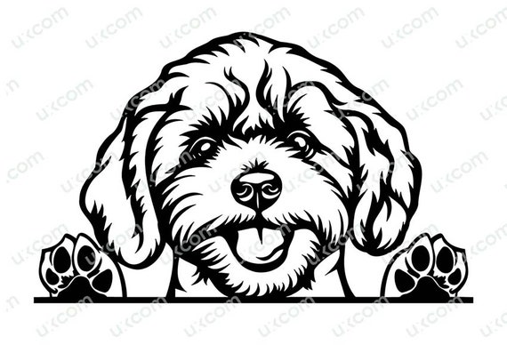 Cavapoo Umbrella - Black & White Cavapoo Umbrella - Black & White