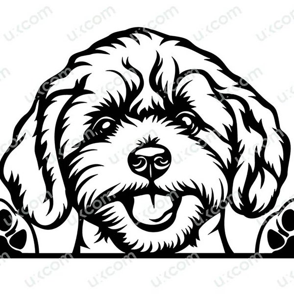 Cavapoo Peeking Dog Commercial cavoodle mom cute cavapoo SVG PNG EPS dxf Clipart Vector lover cavapoo Cricut Cut Cutting File sublimation