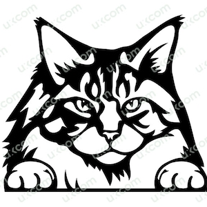 Maine coon chat svg Peeking Commercial mignon kitty chat amant maine coon maman chat Logo . SVG. PNG Vector Clipart Cricut Cut Cutting vinyle
