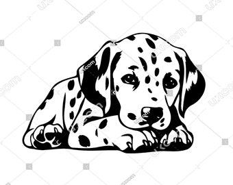 Dalmatian puppy svg cute dalmatian SVG dalmatian Breed canine full body CNC Svg Png Eps DXF Clipart Vector dalmatian Cricut Cut File vinyl