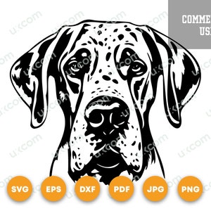 Great Dane SVG Harlekijn Great Dane moeder hondenliefhebber poten Commerciële dierenlogo SVG PNG EPS dxf Clipart Vector Cricut Cut Cutting File vinyl