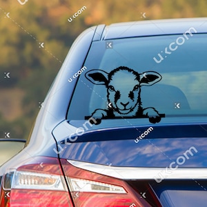 Puede incluir: Una silueta en blanco y negro de la cabeza de un cordero asom&aacute;ndose por la ventana de un coche. El cordero mira directamente a la c&aacute;mara con una expresi&oacute;n juguetona.