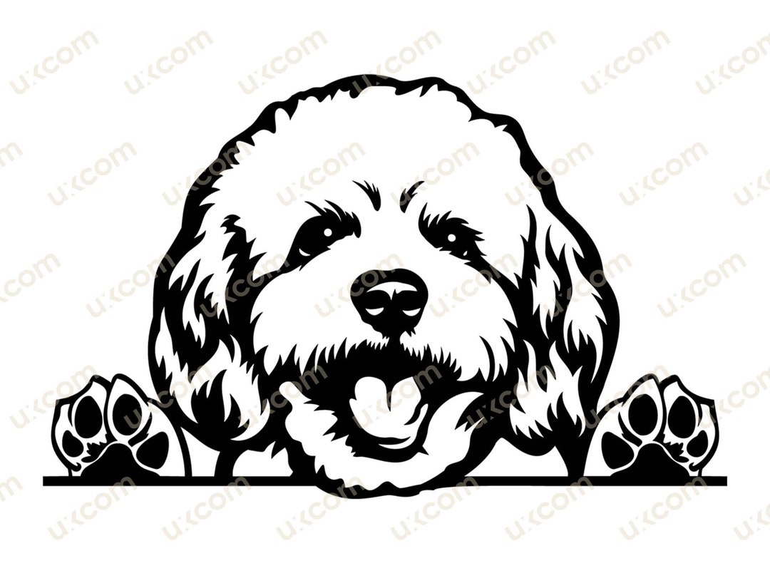 Bichon Frise Peeking Dog Commercial Breed Pedigree Dog Mom Canine Pet