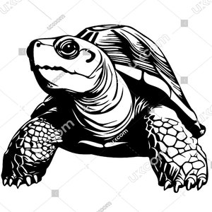May include: Black and white line art illustration of a turtle with its head turned to the side. The turtle has a detailed shell and legs.