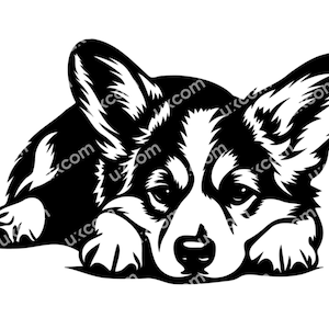 Corgi Gluren Hond corgi svg Ras Pembroke Welsh Corgi liegen Commerciële corgi clipart CNC SVG Png Eps Dxf Vector Cricut Cut bestand vinyl laser