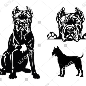 Op de afbeelding: Zwart-witte silhouet van een Cane Corso hond die zit, staat en over een oppervlak kijkt. De hond is in verschillende poses.
