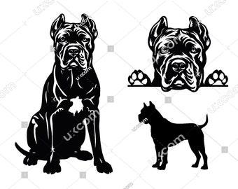 Cane corso svg corso Peeking dog 3 cane corso set race Commercial Breed Cane corso cricut cut file Logo SVG PNG EPS Clipart Vector Cut