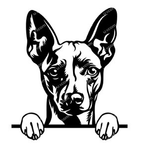 American hairless terrier Peeking Dog Commercial hairless terrier svg clipart canino pedigree CNC Svg PNG EPS vettoriale Cricut Cut File vinile