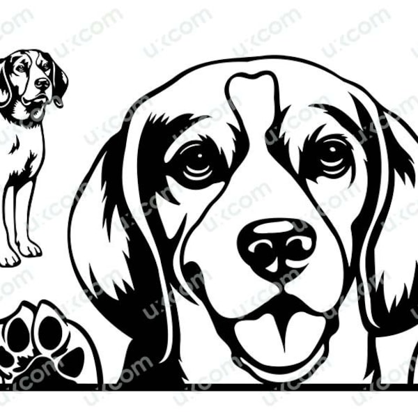 Beagle Peeking Dog svg Smiling dog Commercial Beagle mom dog lover beagle set beagle cute puppy Logo .SVG .PNG Clipart Cricut Cut Cutting