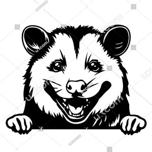 Opossum furtivement drôle possum tshirt Commercial mignon opossum noir blanc cricut logo vinyle décalcomanies SVG PNG EPS Clipart Vector Cut Cutting File