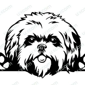Shih tzu Peeking Dog Race commerciale Pedigree Canine Pet Hound Animal Logo SVG PNG EPS Clipart Vector Cricut Cut Cutting File