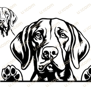Vizsla SVG Vizsla Gluren Hond Poten Commercieel Ras Canine Pet Hound Animal Logo PNG EPS Clipart Vector Cricut Cut Cutting File Laser Decals