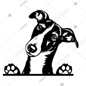 Lévrier svg lévrier regardant chien commercial mignon lévrier fichier de découpe SVG PNG EPS Dxf Ai Clipart lévrier vecteur Cricut vinyle décalcomanies laser