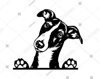May include: Black and white illustration of a dog peeking over a surface with its paws on either side. The dog has a short, smooth coat and is looking directly at the viewer.