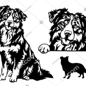 Australian Shepherd Peeking Dog 3 Aussie svg set Breed Commercial Canine Pedigree SVG Dxf PNG AI Aussie Clipart Cricut Cut File vinyl laser