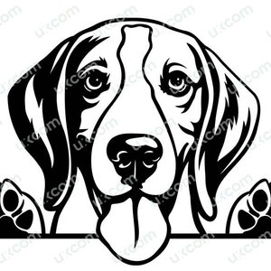 American Foxhound svg peeking dog happy foxhound mom Breed Pet Commercial puppy Logo PNG EPS dxf Clipart Vector Cricut Cut Cutting File