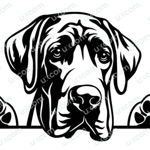 Great Dane Gluren Hond Great Dane SVG Great Dane Commerciële Canine clipart Dane SVG PNG EPS dxf Clipart Vector Cricut Snijden vinyl laser
