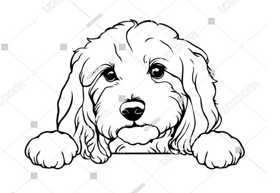 Cavapoo Umbrella - Black & White Cavapoo Umbrella - Black & White
