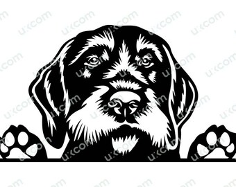 Könnte beinhalten: Schwarzweiß-Illustration eines Hundes, der mit seinen Pfoten auf einer Oberfläche über diese schaut. Der Hund hat eine lange Schnauze und Schlappohren.