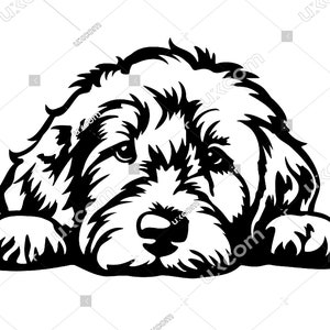 Goldendoodle Gluren Hond Goldendoodle SVG labradoodle SVG Commerciële doodle moeder doodle CNC Svg PNG EPS Clipart Vector Cricut Cut File vinyl